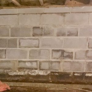 Block walls Efflorescence on Walls